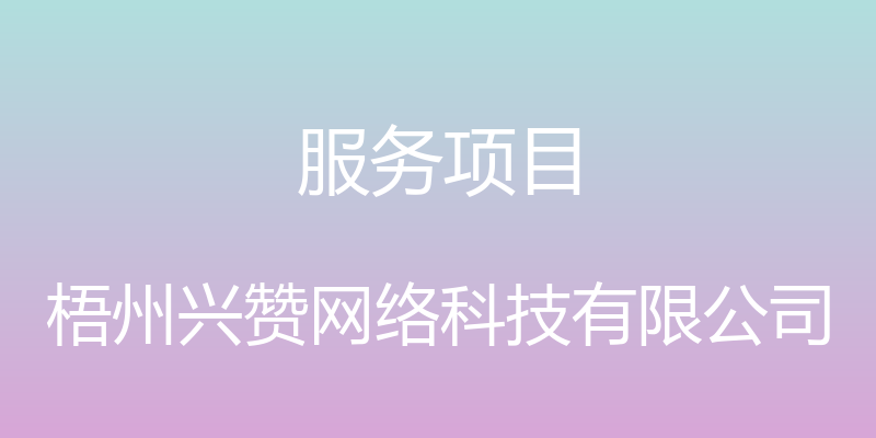 服务项目 - 梧州兴赞网络科技有限公司